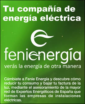 Fenie Energía
